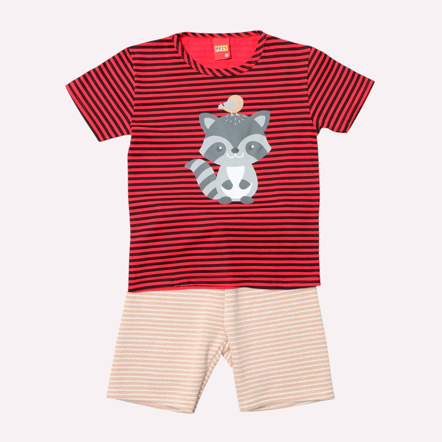 Conjunto Infantil Menino Guaxinim Kyly